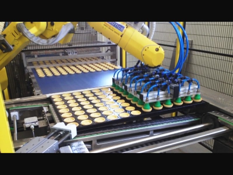 manipulacion-de-diferentes-productos-en-industria-congelados-2
