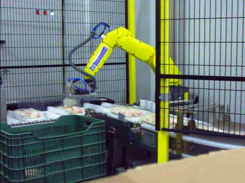 manipulacion-de-diferentes-productos-en-industria-congelados